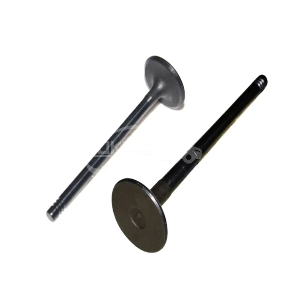 Auto Parts HN196507AA Exhaust Valve  For Ford Ecosport 18/Focus 18