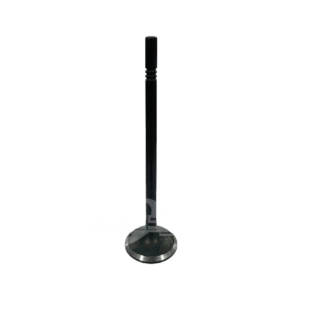 Auto Parts HN196505AA HN1Z6505A Exhaust Valve  For Ford Ecosport 18/Focus 19 1.5