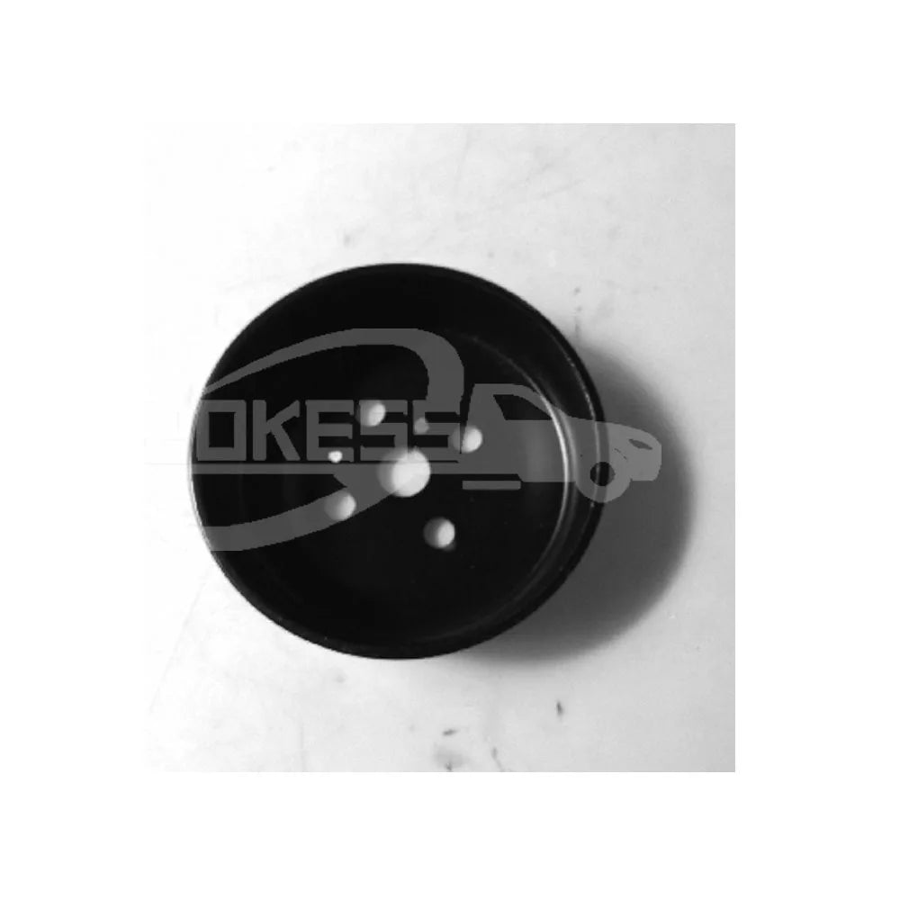 AE8Q8509AA  Water Pump Pulley  For Ford Focus 12-14/Kuga/Ecosport/Focus 15-18