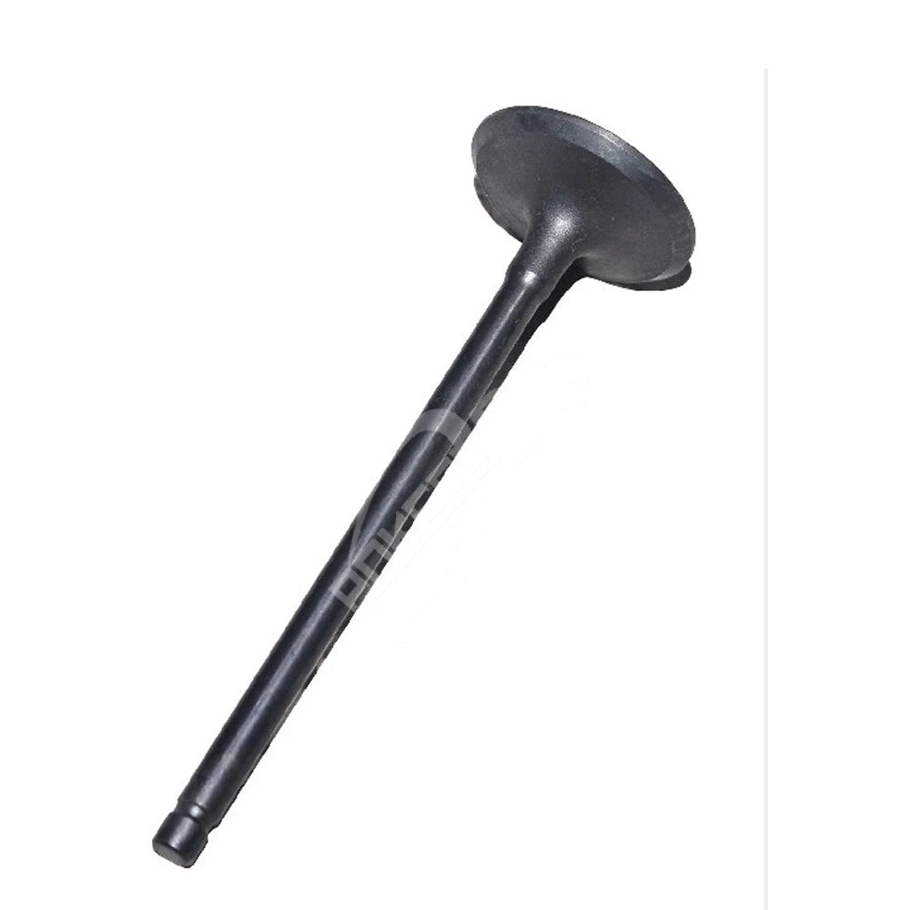 1S7G6507D7G 1S7G6507DG 1S7Z6507B 1675266 1324691 LR025301 Intake Valve for Lincoln Continental/MKC/Nautilus/MKX/MKZ/MKT