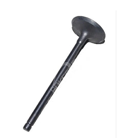 1S7G6507D7G 1S7G6507DG 1S7Z6507B 1675266 1324691 LR025301 Intake Valve for Lincoln Continental/MKC/Nautilus/MKX/MKZ/MKT