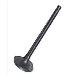 1S7G6507D7G 1S7G6507DG 1S7Z6507B 1675266 1324691 LR025301 Intake Valve for Lincoln Continental/MKC/Nautilus/MKX/MKZ/MKT