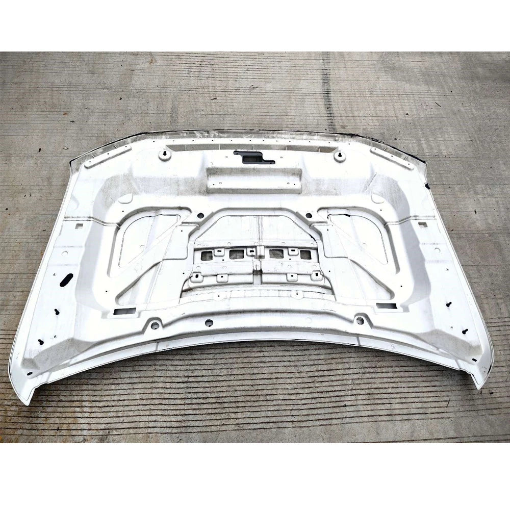 Car Engine Hood Cover ML3Z16612B ML3V16612AE Hood Cover for Ford F150 2021-(RAPTOR)