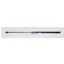 Load image into Gallery viewer, FK7BR16C827AA FK7BR16C827AB FK7BR16C826AB FK7BR16C826AA Hood Lift Support for Ford Edge