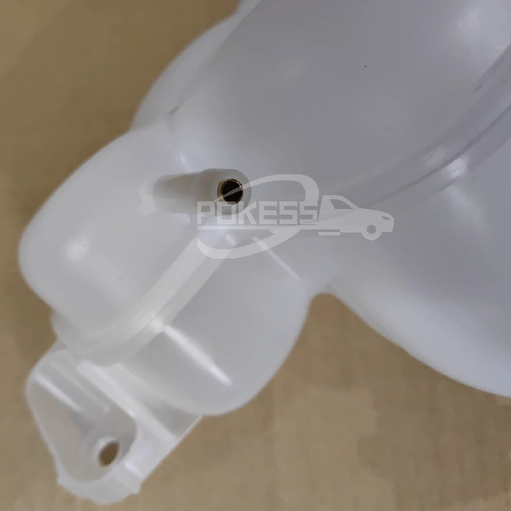 Car Expansion Tank FL3Z8A080A BL3Z8A080B DG938101AA Coolant Expansion Tank RadiatorTank for Ford Raptor F150