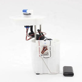 Fuel pump assembly For Ford Escort ED8G-9H307-AB ED8G-9H307-AC