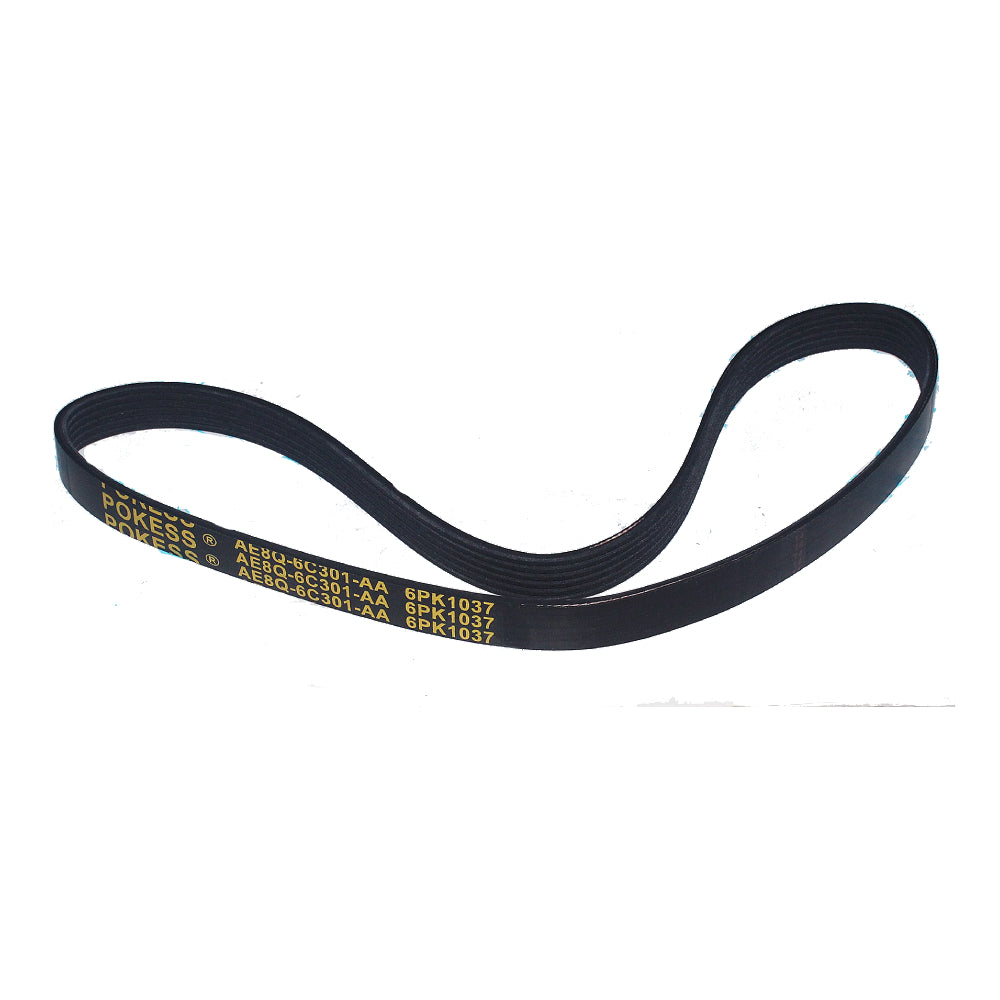 1843850  AE8Q 6C301 AA AE8Q 6D314 AB 6PK1037 Fan Belt For Ford Fiesta 1.5 MK4 Focus AE8Q6D314AB