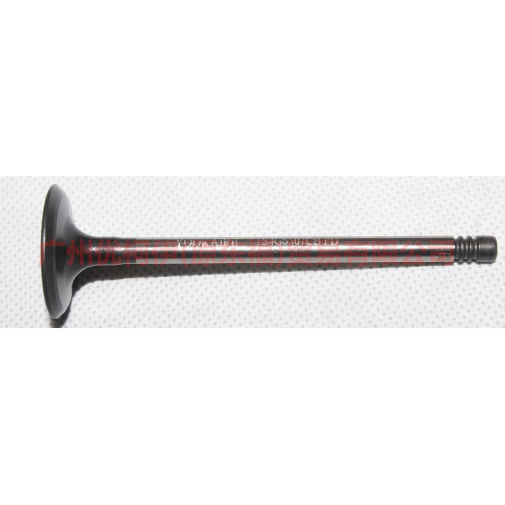 Auto Parts 1S4G 6507 EA Intake Valve For Ford Focus Ecosport Fiesta MK3 MK4 1S4G-6507-EA C601-12111-A
