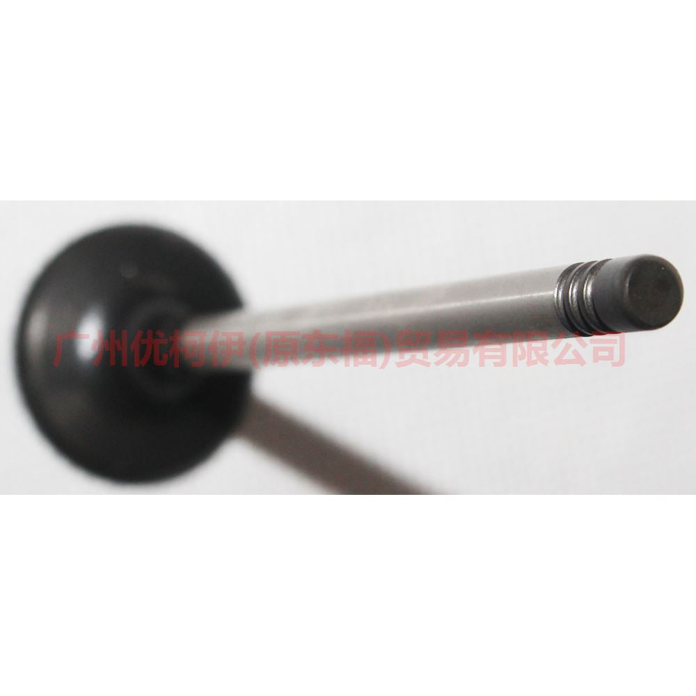 Auto Parts 1S4G 6507 EA Intake Valve For Ford Focus Ecosport Fiesta MK3 MK4 1S4G-6507-EA C601-12111-A