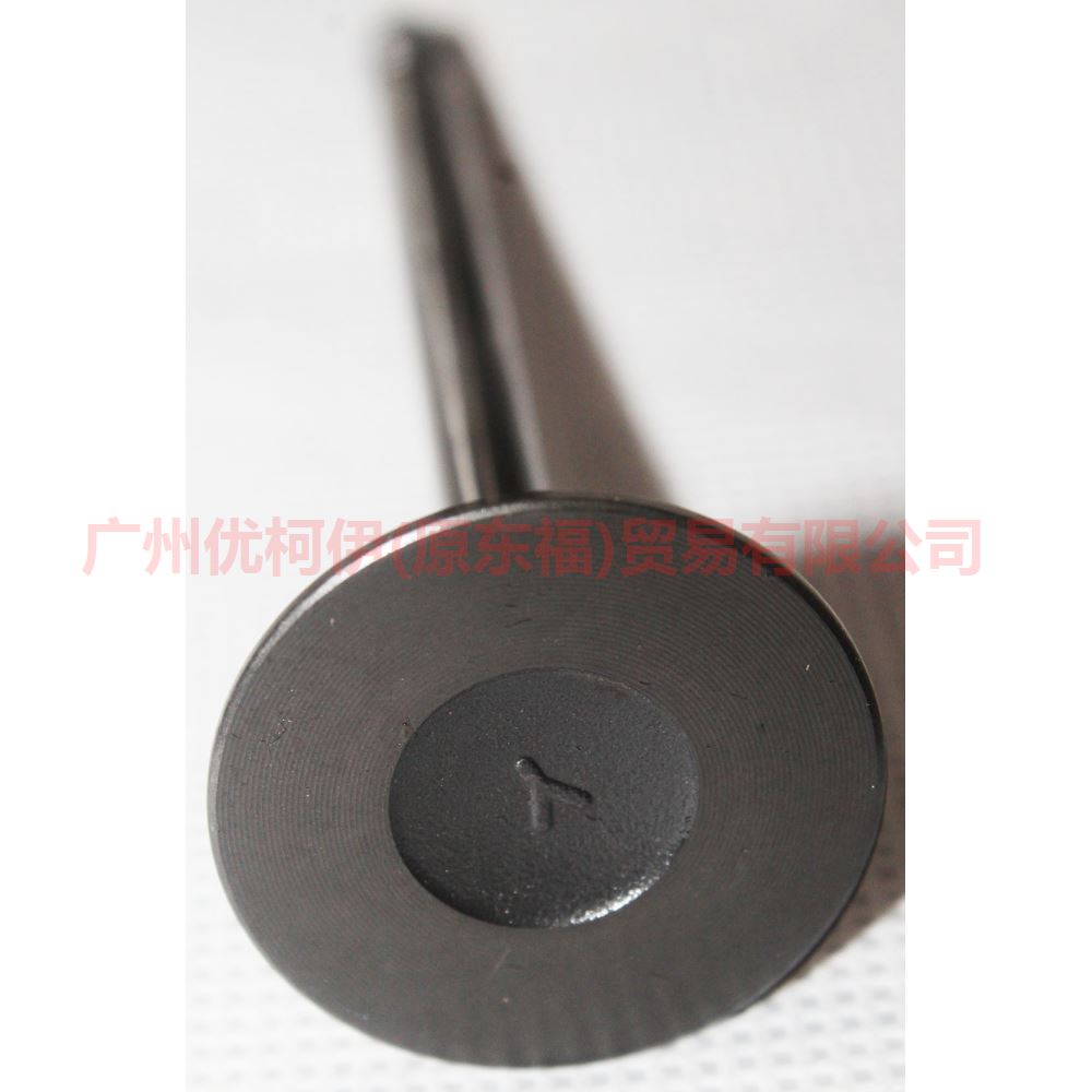 Auto Parts 1S4G 6507 EA Intake Valve For Ford Focus Ecosport Fiesta MK3 MK4 1S4G-6507-EA C601-12111-A