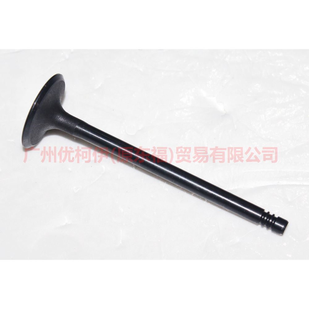 Auto Parts 1S4G 6507 EA Intake Valve For Ford Focus Ecosport Fiesta MK3 MK4 1S4G-6507-EA C601-12111-A