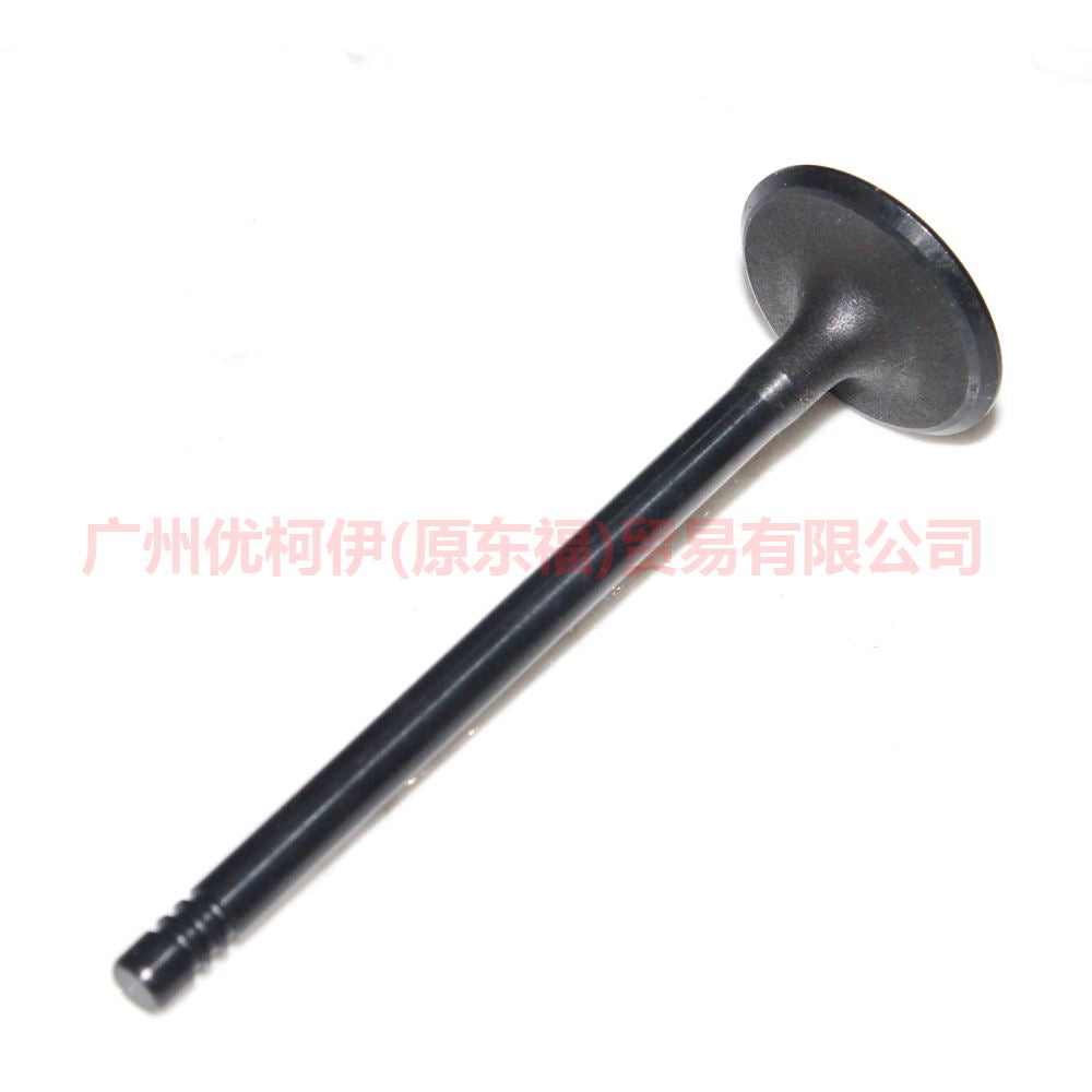 Auto Parts 1S4G 6507 EA Intake Valve For Ford Focus Ecosport Fiesta MK3 MK4 1S4G-6507-EA C601-12111-A