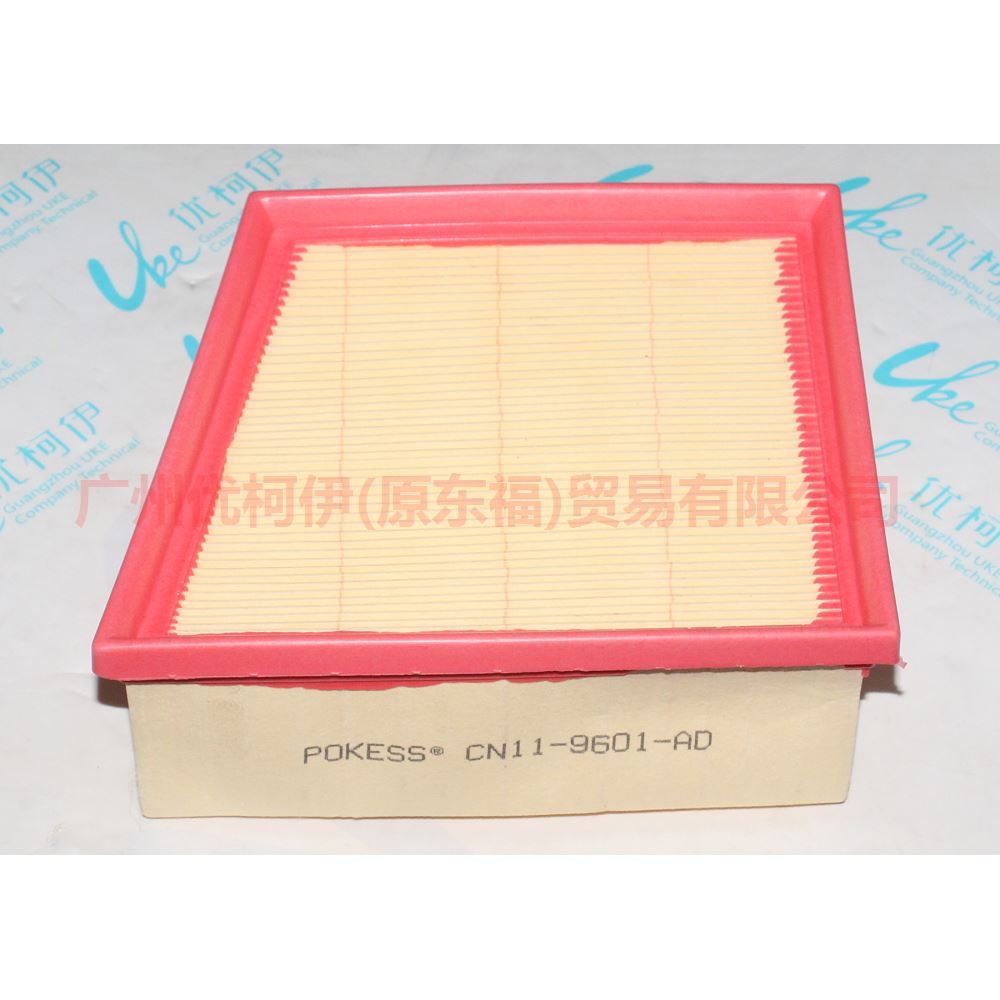 CN119601AD Air grid For Ford Fiesta CJ 13-14