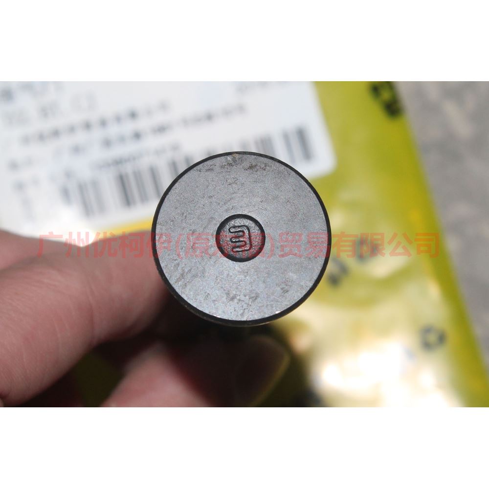 Engine Exhaust Valves For FORD FOCUS 1.6 FIESTA ECOSPORT 1.5 2012- 1S6G-6505-FA 1S6G-6505-BA C40112121 1113189 30711638