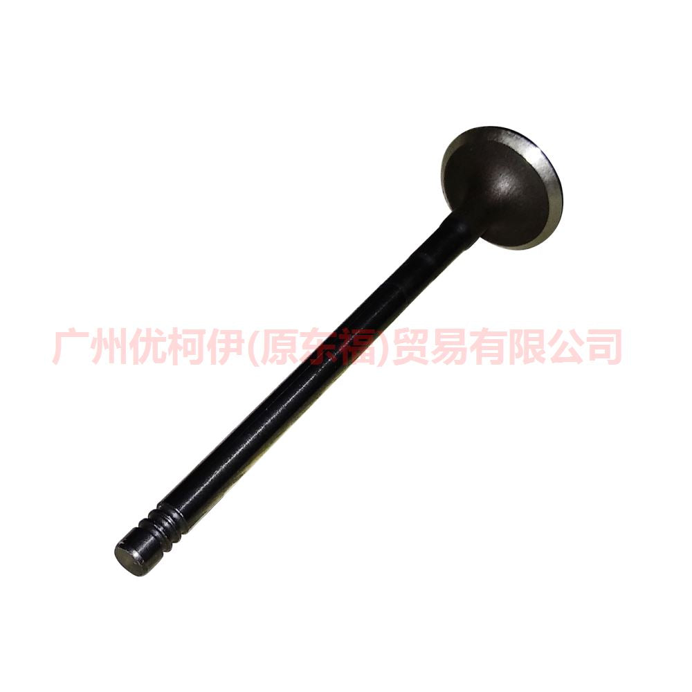 Engine Exhaust Valves For FORD FOCUS 1.6 FIESTA ECOSPORT 1.5 2012- 1S6G-6505-FA 1S6G-6505-BA C40112121 1113189 30711638