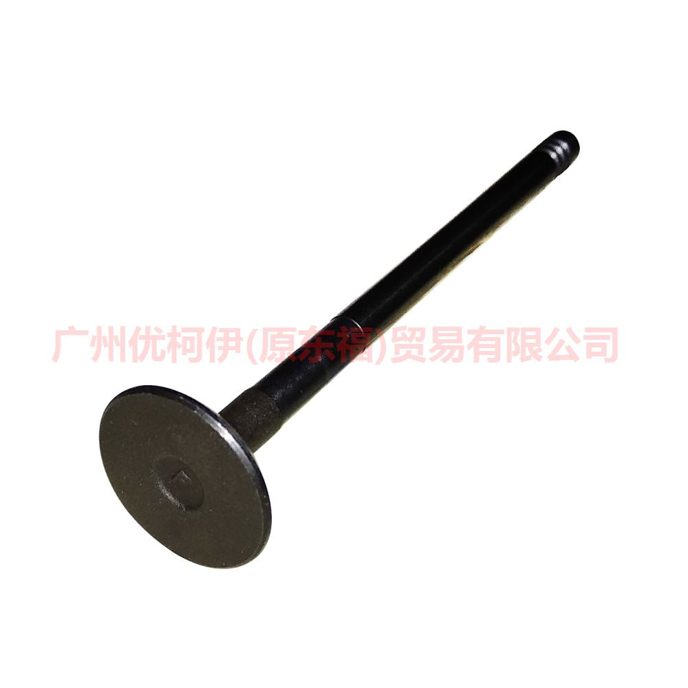 Engine Exhaust Valves For FORD FOCUS 1.6 FIESTA ECOSPORT 1.5 2012- 1S6G-6505-FA 1S6G-6505-BA C40112121 1113189 30711638