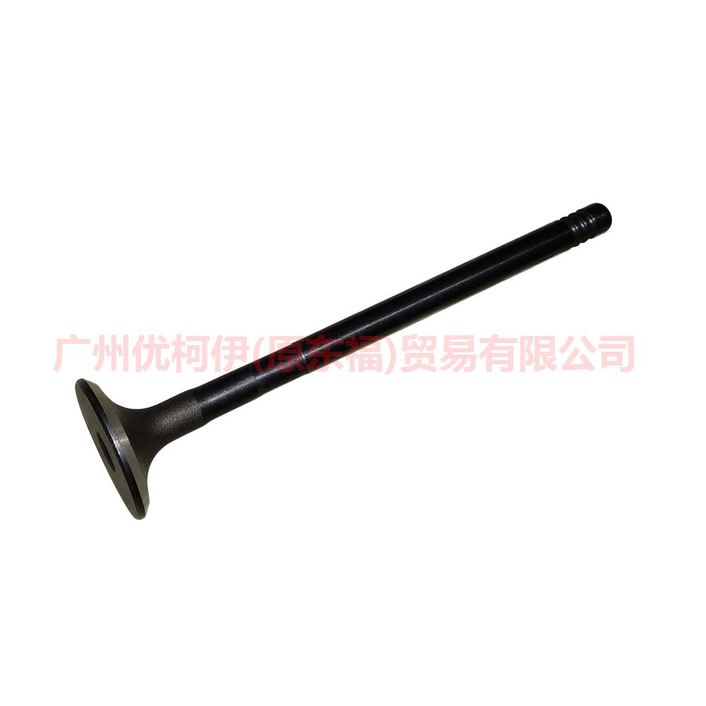 Engine Exhaust Valves For FORD FOCUS 1.6 FIESTA ECOSPORT 1.5 2012- 1S6G-6505-FA 1S6G-6505-BA C40112121 1113189 30711638