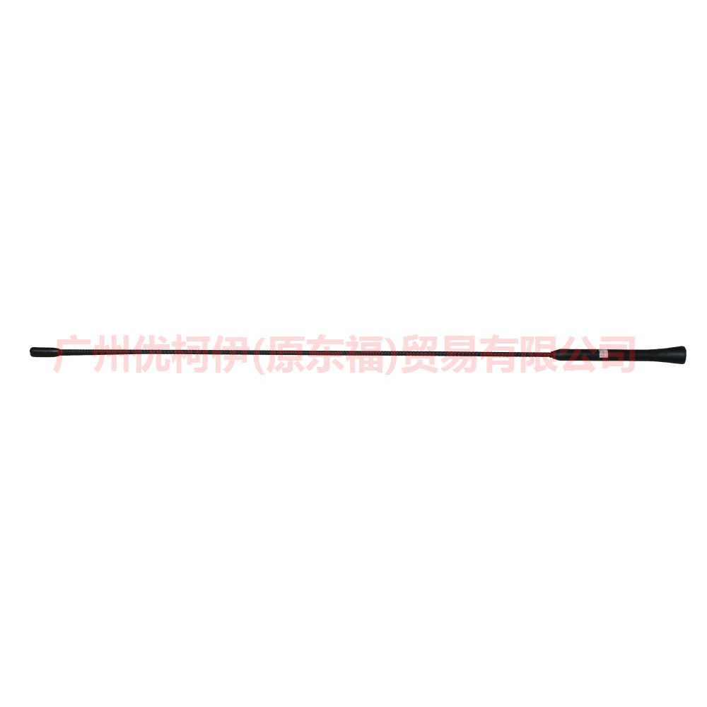 AV1T18A886AA Antenna long with adapter For Ford Focus BF 05-06