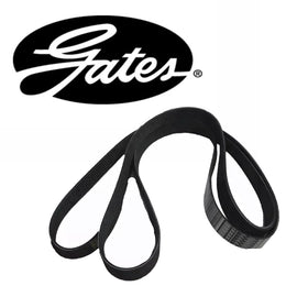 Gater For ford TRANSIT 460 2.4 1440086 1376751 6C1Q6C301GB 6C1Q6C301GC 7PK2682 6C1Q6C301EA 1376084 V-Ribbed Belt